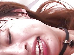 asiatisk, store-pupper, doggy, hårete, pussy, blowjob, japansk, handjob, fingret, knulling-fucking