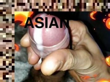 एशियाई, कमशॉट, विशाल-स्तन, एकल, लंड