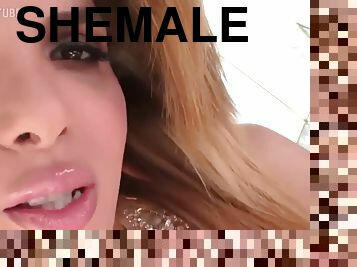 transexual, amateur, mamada, latino, transexual-tranny, sadomasoquismo, rubia, culazo