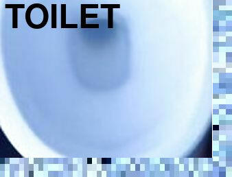 Pees into toilet