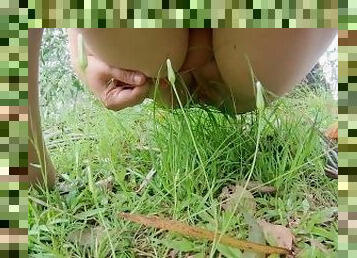 Pissing in a Public Park