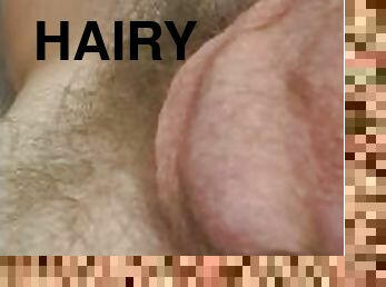 Morning Hairy Balls on Couch wanting Pussy - Shortie