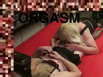 masturbation, orgasme, transsexuelle, amateur, fellation, hardcore, bdsm, couple, blonde, lingerie