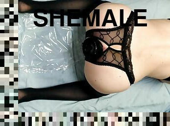 shemale, amatööri, anaali, lelu, kova-seksi, pilluuntulo, bdsm, alusasut, soolo