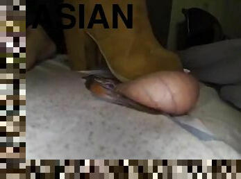 asia, payudara-besar, cumshot-keluarnya-sperma, latina, jepang, handjob-seks-dengan-tangan-wanita-pada-penis-laki-laki, pijat, kaki, fetish-benda-yang-dapat-meningkatkan-gairah-sex, cina