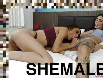 shemale, smal, anal, brudar, avsugning, cumshot, hardcore, latinska, transa, brasilien