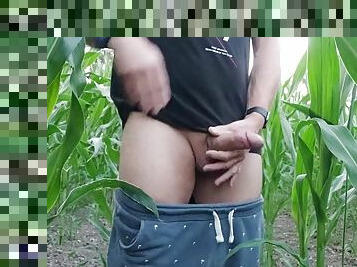 Have fun in the cornfield, jerk off and use a condom