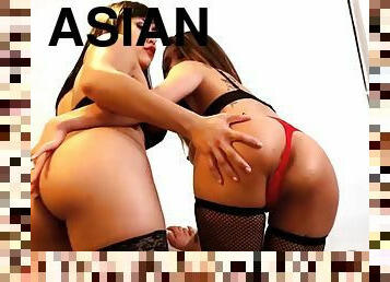 Asian booties entertain their customers cock