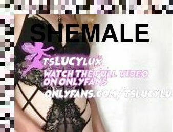 store-pupper, svær, onani, shemale, amatør, anal, cumshot, stor-pikk, slave, ladyboy