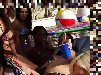 Shemale pool party with horny cock loving trannies