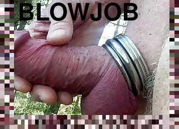 pappa, blowjob, homofil, strand, far