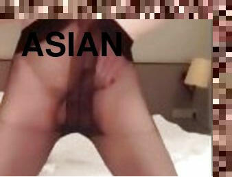 asia, waria-shemale, blowjob-seks-dengan-mengisap-penis, remaja, orang-yang-bertukar-kelamin, waria, pelacur-slut