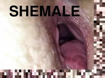 orgasme, gravid, fisse-pussy, transvestit, kone, amatør, creampie, synsvinkel, sperm, penetrering