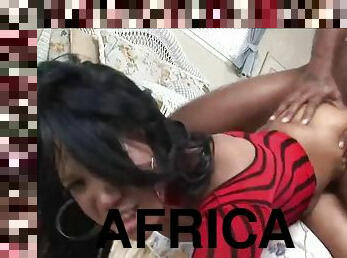 orgasmo, negra-ebony, hardcore, estrella-del-porno, negra, africano