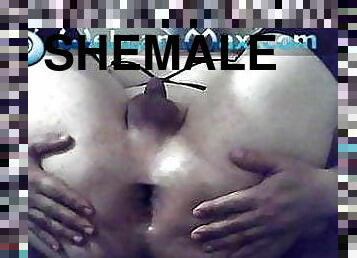 cul, gros-nichons, transsexuelle, anal, arabe, point-de-vue, webcam, solo, petits-seins