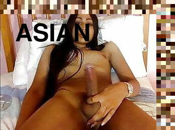 asiatique, gros-nichons, énorme, masturbation, transsexuelle, amateur, énorme-bite, ados, latina, travesti