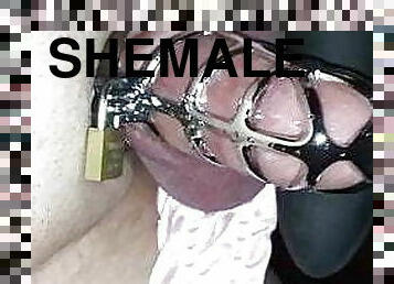 Cute Shemale Squirts from her Clitty in Chastity!