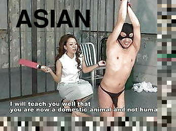 asiatic, japoneza, bdsm, slclav, amanta, dominare, femdom, plesnit