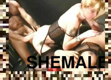 Sexy Shemale Threesome Delights