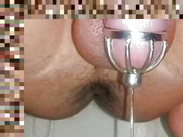 Precum Pissing Through Chastity Cage With Uretral Plug