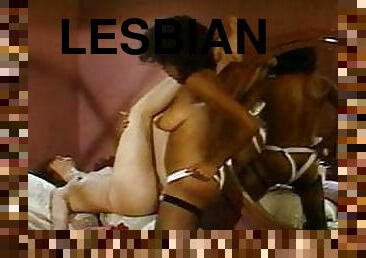 vagina-pussy, diikatkan-pada-tubuh, anal, lesbian-lesbian, antik, hitam, berambut-cokelat