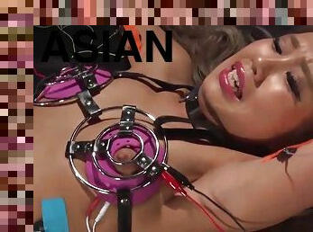 asiatisk, japans, bdsm