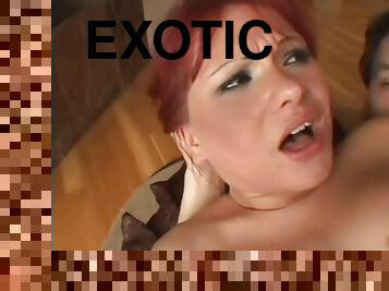 Excellent sex scene Anal exotic full version