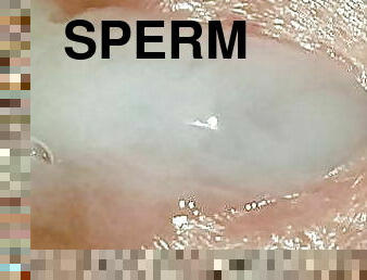 buzi, sperma