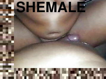 shemale, anal, cumshot, par, sprut