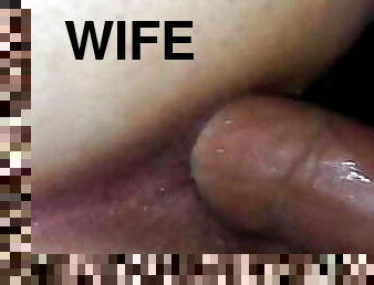 Wife 