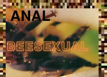 anal, biseksuel