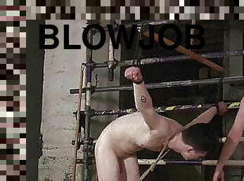 blowjob-seks-dengan-mengisap-penis, penis-besar, gambarvideo-porno-secara-eksplisit-dan-intens, homo, bdsm-seks-kasar-dan-agresif, homoseks, pukulan-di-pantat