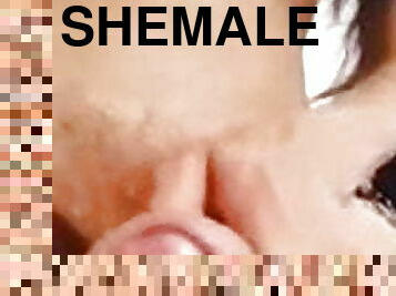 Shemale Slut Video XXX