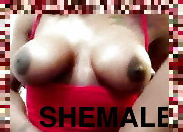Shemale 491