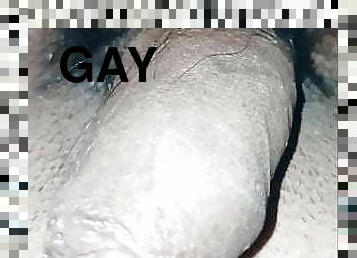 gay, dormant