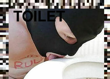 amatør, bøsse, tøs, toilet