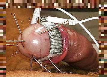 Needled cockhead under heavy electro torture