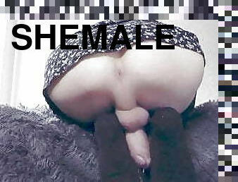 shemale, amatør, cumshot, ladyboy, webkamera, alene