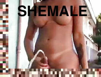 Shemale pee