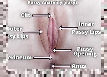 clitoris-bagian-atas-vagina-paling-sensitif, orgasme, vagina-pussy, amatir, sayang, permainan-jari, realitas, pengisapan