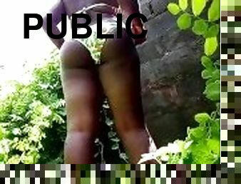 Afro public body exposed