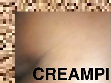 Cream pie