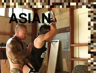 アジアの, 肛門の, フェラチオ, 巨大なコック, 玩具, ゲイ, イマラチオ, bdsm, ボンデージ, タトゥー