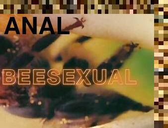 anal