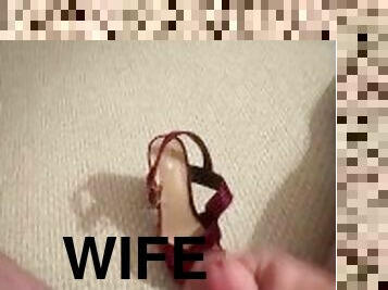 Covering Wifes Sexy Shoe with Cum