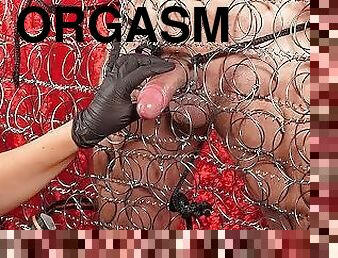 orgasm, laba, bdsm, slclav, lapte, vacanta-de-primavara, dominare, femdom, plesnit, tare