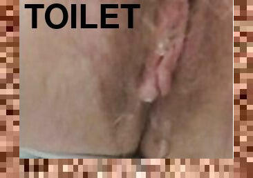 Peeing in the toilet. Bush