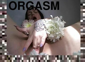 orgasmi, pillu-pussy, amatööri, lelu, latino, sormettaminen, pov, soolo