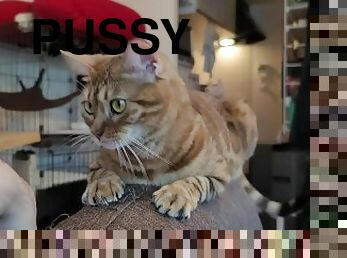 pussy