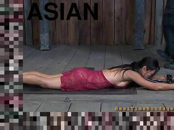 asiático, interracial, fetiche, morena